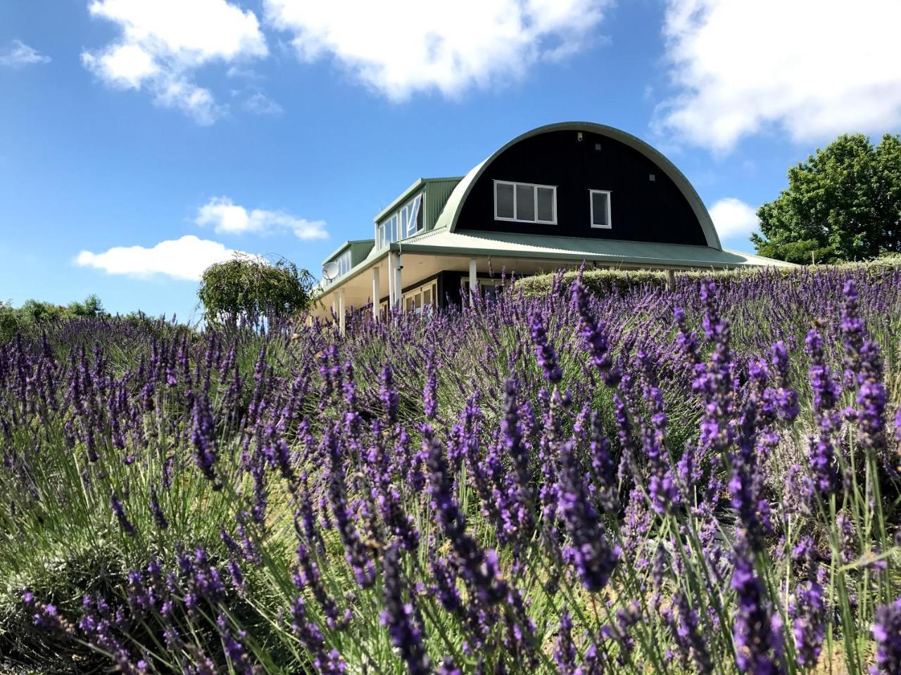 Bed and Breakfast Lavender Hill à Riverhead Extérieur photo